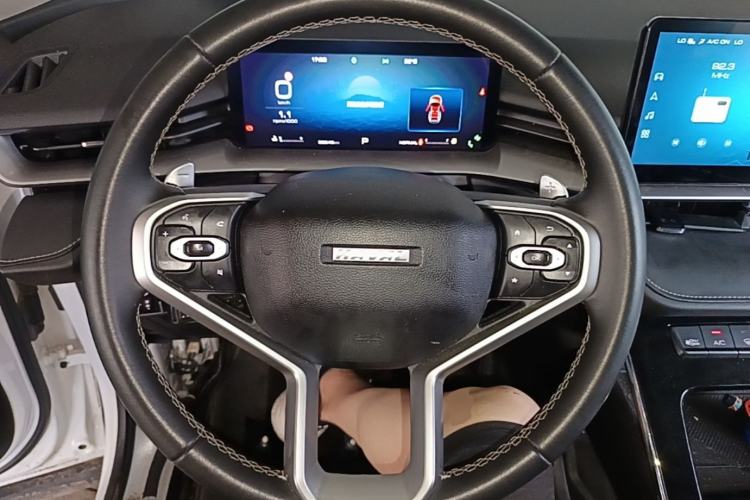 Used Haval H6 2021 3rd Generation 2.0T Automatic Two-Wheel Drive Max Steering Wheel