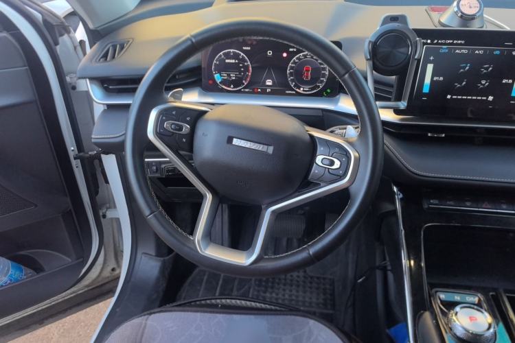 Used Haval H6 2021 3rd Generation 2.0T Automatic Two-Wheel Drive Max Steering Wheel