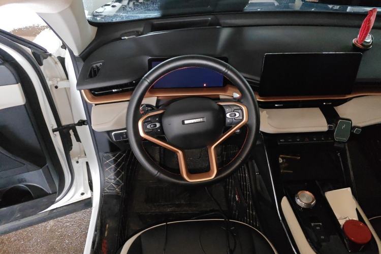 Used Haval H6 2021 3rd Generation 2.0T Automatic Two-Wheel Drive Max Steering Wheel