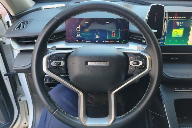 Used Haval H6 2021 3rd Generation 2.0T Automatic Two-Wheel Drive Max Steering Wheel