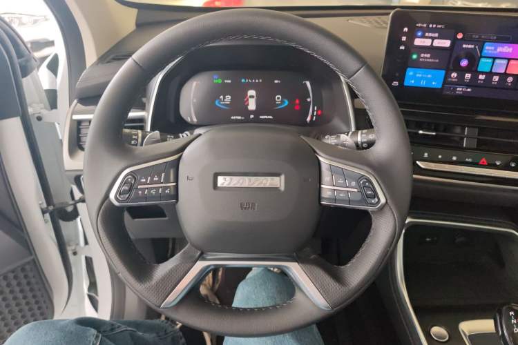 Used Haval H6 2021 China Trend Edition 1.5 GDIT Automatic Champion Version Steering Wheel