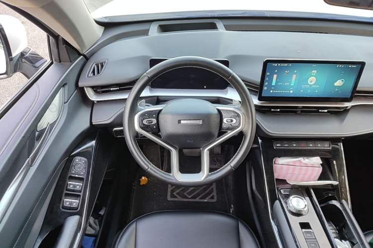Used Haval H6 2021 3rd Generation 2.0T Automatic Two-Wheel Drive Max Steering Wheel