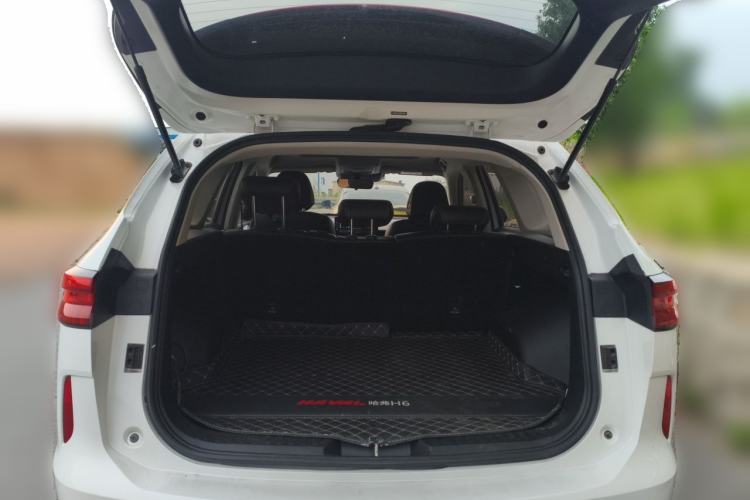 Used Haval H6 2021 3rd Generation 2.0T Automatic Two-Wheel Drive Max Trunk