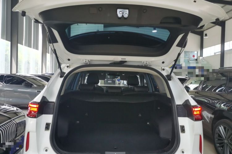 Used Haval H6 2021 3rd Generation 2.0T Automatic Two-Wheel Drive Max Trunk