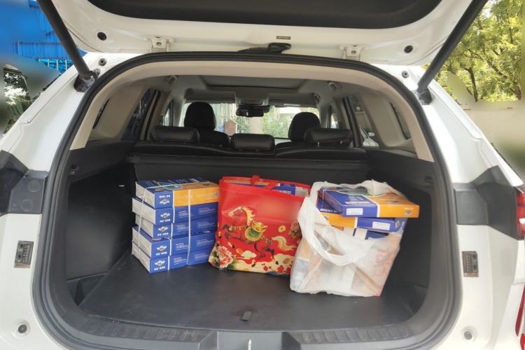 Used Haval H6  Trunk