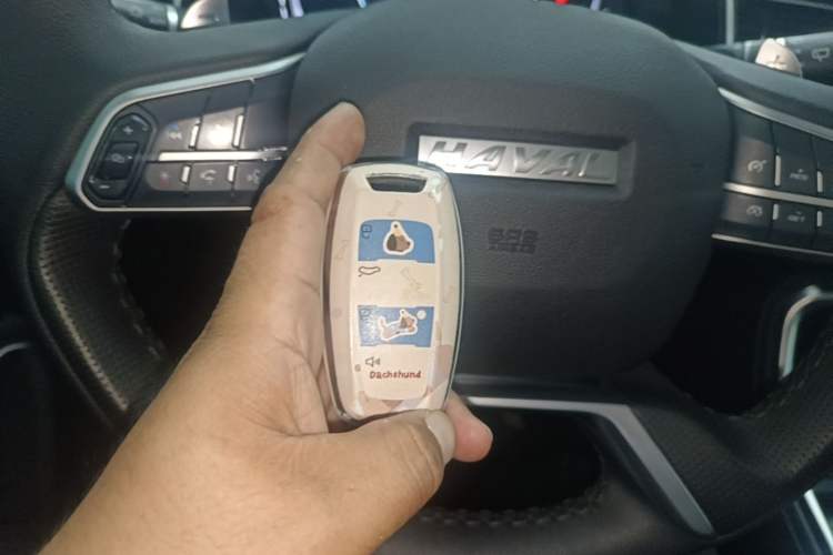 Used Haval H6 2021 China Trend Edition 1.5 GDIT Automatic Champion Version Vehicle Key