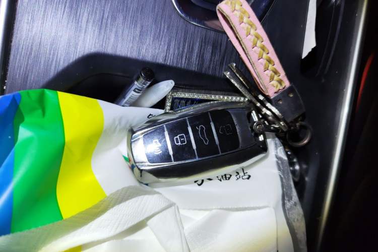 Used Haval H6 2021 National Trend Edition 1.5T Automatic Urban Version Vehicle Key