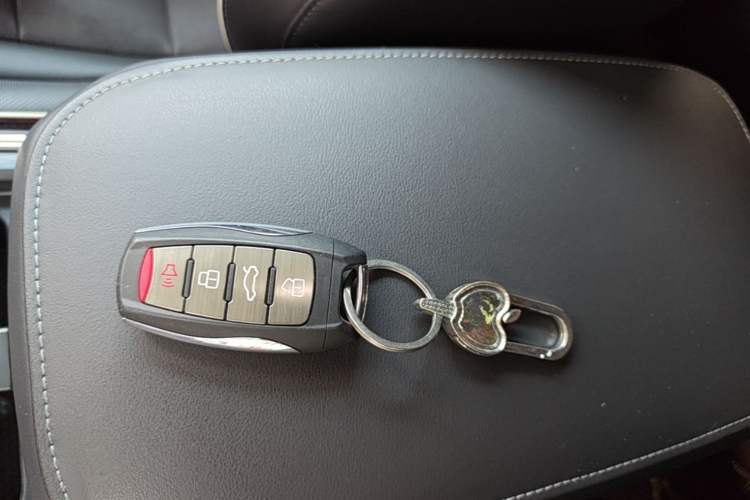 Used Haval H6 2021 National Trend Edition 1.5T Automatic Urban Version Vehicle Key
