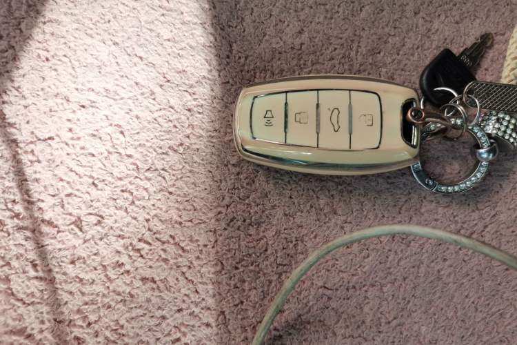 Used Haval H6 2021 3rd Generation 1.5T Automatic Two-Wheel-Drive Supreme Vehicle Key