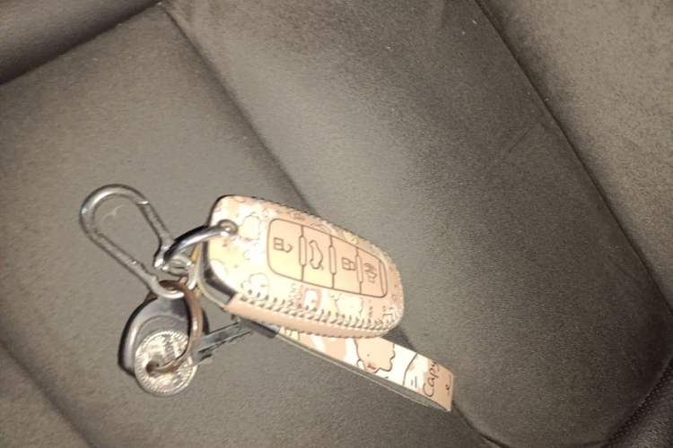 Used Haval H6 2021 National Trend Edition 1.5T Automatic Urban Version Vehicle Key