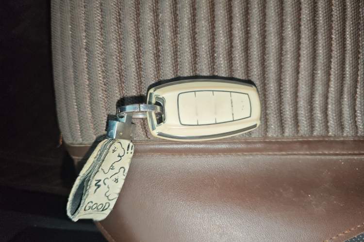 Used Haval H6 2021 National Trend Edition 1.5T Automatic Urban Version Vehicle Key
