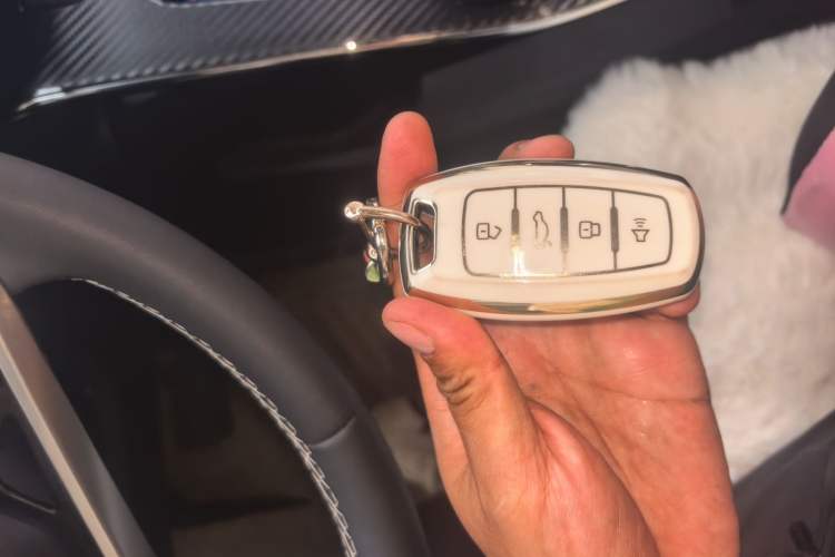 Used Haval H6 2021 3rd Generation 1.5T Automatic Two-Wheel-Drive Supreme Vehicle Key