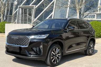 Used Haval H6 2022 3rd Generation 1.5T Automatic Two-Wheel Drive Pro