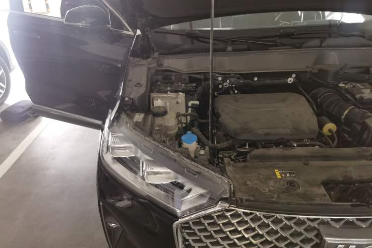 Used Haval H6 2022 3rd Generation 1.5T Automatic Two-Wheel Drive Max Engine Bay Right