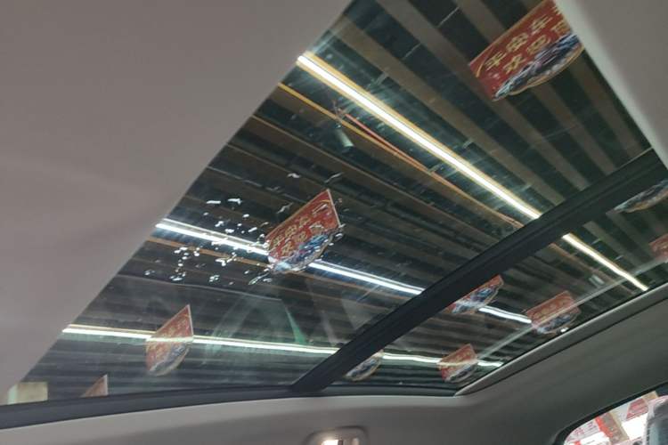 Used Haval H6 2022 3rd Generation 1.5T Automatic Two-Wheel Drive Pro Headliner