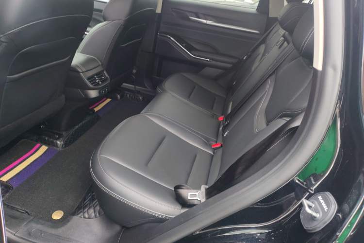 Used Haval H6 2022 3rd Generation 1.5T Automatic Two-Wheel Drive Pro Left Rear Seat