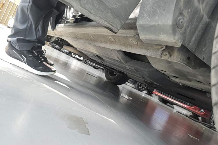 Used Haval H6 2022 3rd Generation 1.5T Automatic Two-Wheel Drive Max Right Side Sill