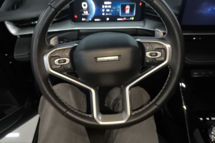 Used Haval H6 2022 3rd Generation 1.5T Automatic Two-Wheel Drive Pro Steering Wheel