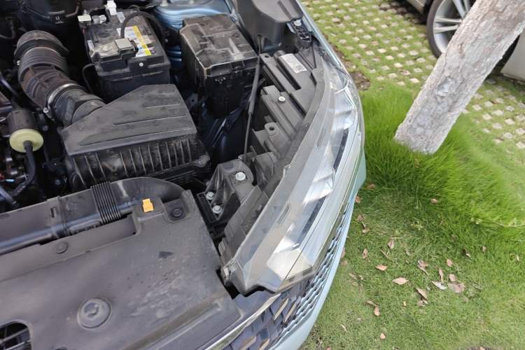 Used Haval H6 2022 3rd Generation 1.5T Automatic Two-Wheel Drive Supreme+ Engine Bay Left