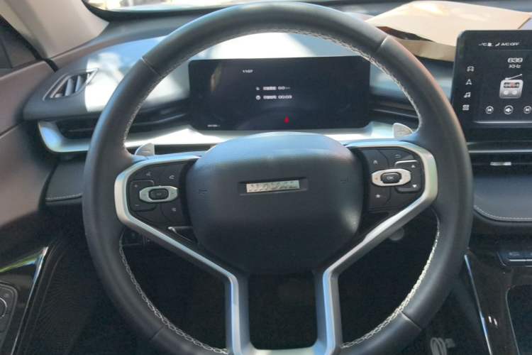 Used Haval H6 2022 3rd Generation 1.5T Automatic Two-Wheel Drive Pro Steering Wheel