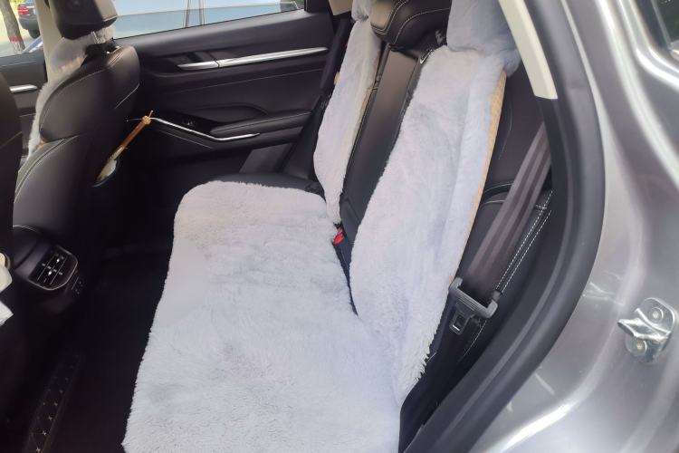 Used Haval H6 2022 3rd Generation 1.5T Automatic Two-Wheel Drive Pro Left Rear Seat