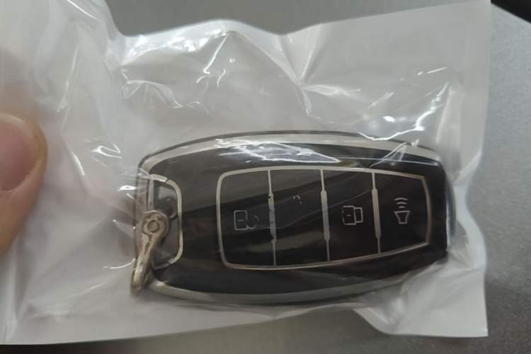 Used Haval H6 2022 3rd Generation 1.5T Automatic Two-Wheel Drive Max Vehicle Key
