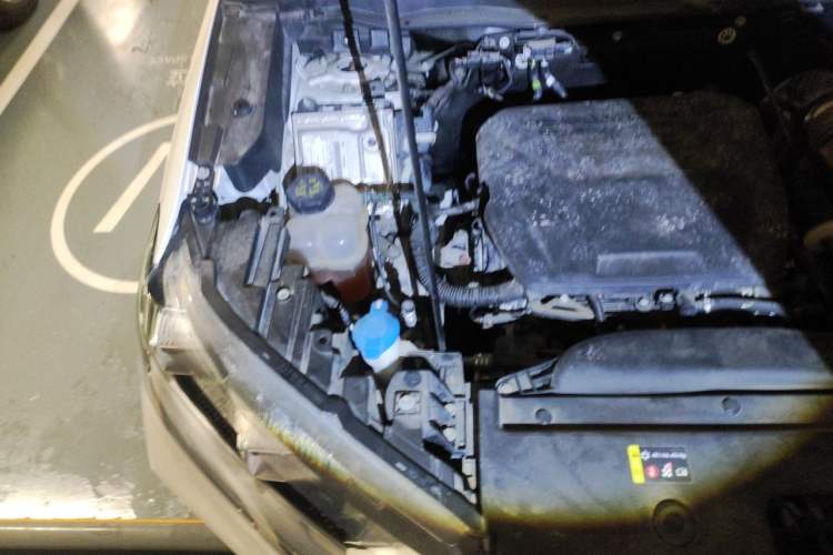Used Haval H6 2022 3rd Generation 1.5T Automatic Two-Wheel Drive Max Engine Bay Right