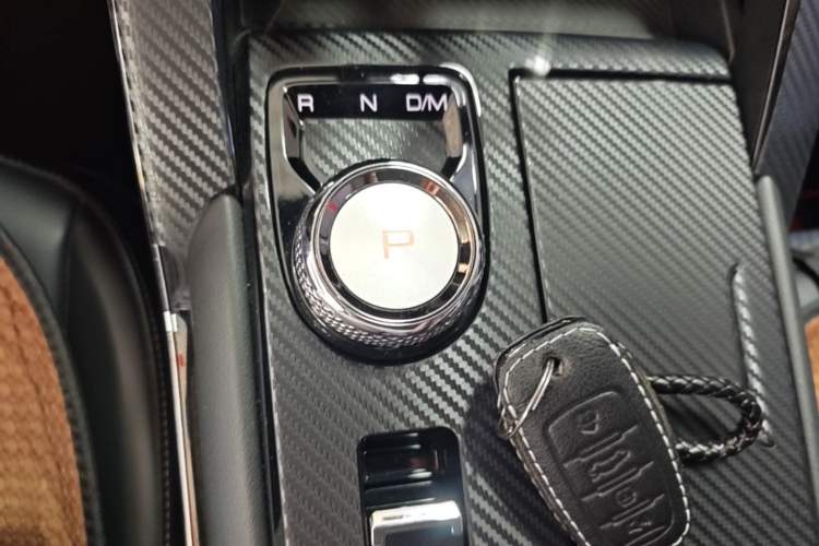 Used Haval H6 2022 3rd Generation 1.5T Automatic Two-Wheel Drive Max Gear Lever
