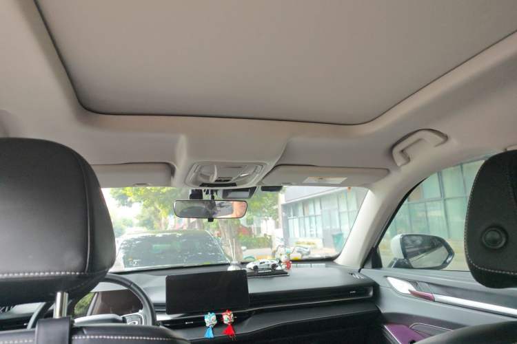 Used Haval H6 2022 3rd Generation 1.5T Automatic Two-Wheel Drive Pro Headliner
