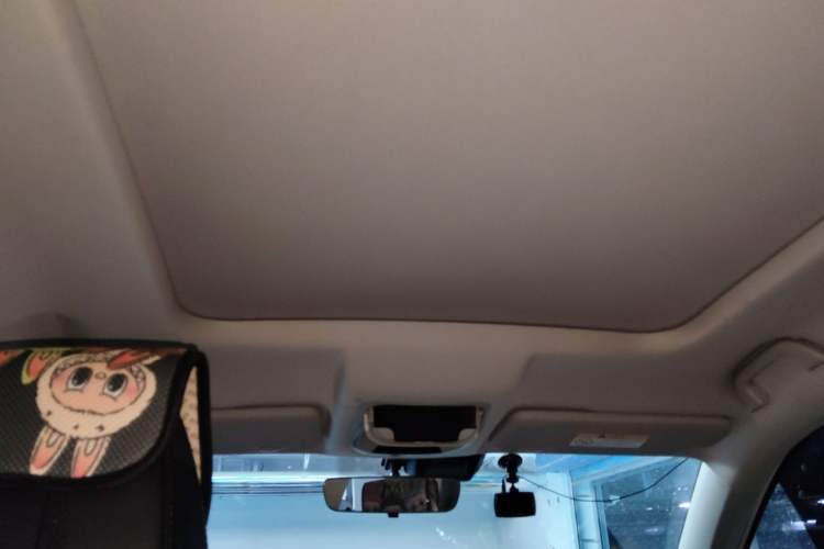 Used Haval H6 2022 3rd Generation 1.5T Automatic Two-Wheel Drive Pro Headliner