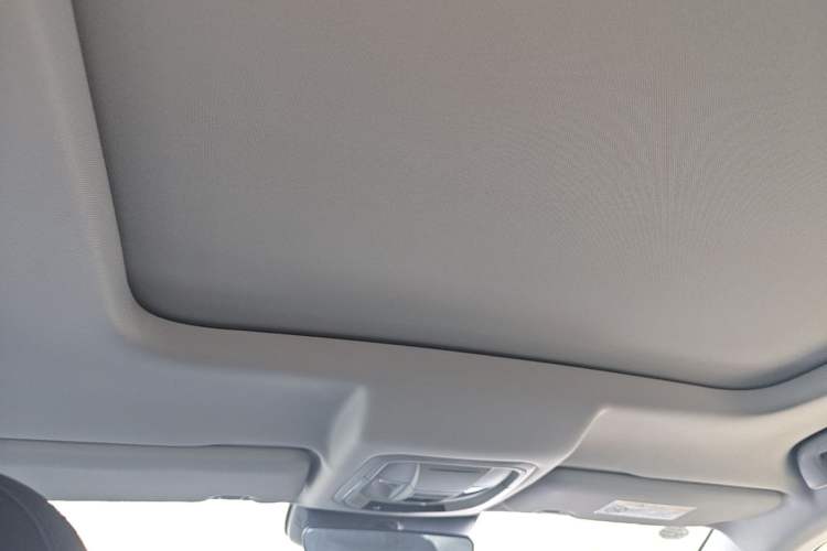 Used Haval H6 2022 Third Generation 1.5T DHT Headliner