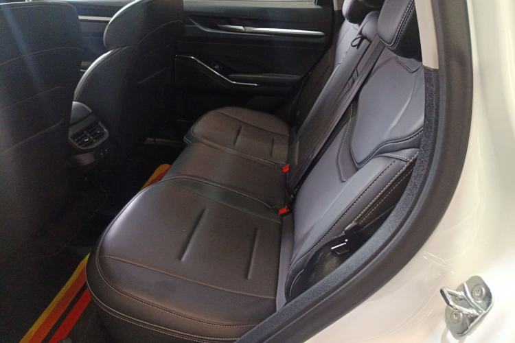 Used Haval H6 2022 3rd Generation 1.5T Automatic Two-Wheel Drive Pro Left Rear Seat