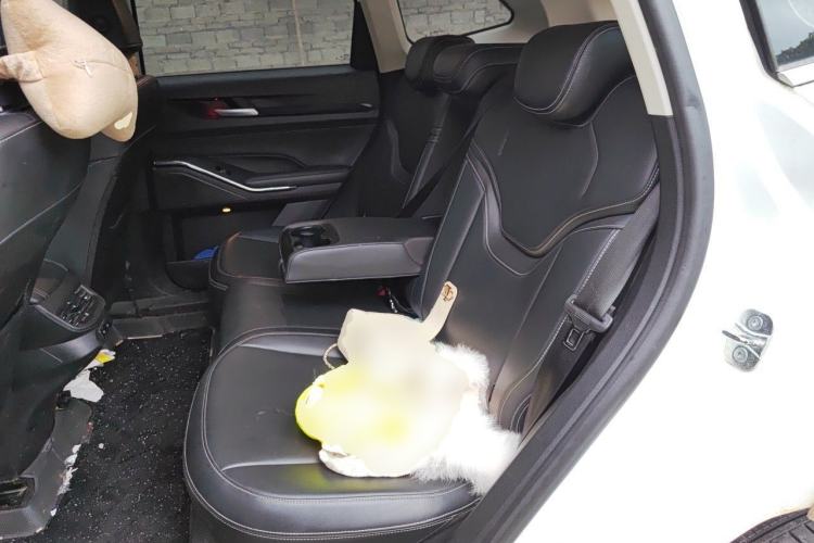 Used Haval H6 2022 3rd Generation 1.5T Automatic Two-Wheel Drive Max Left Rear Seat