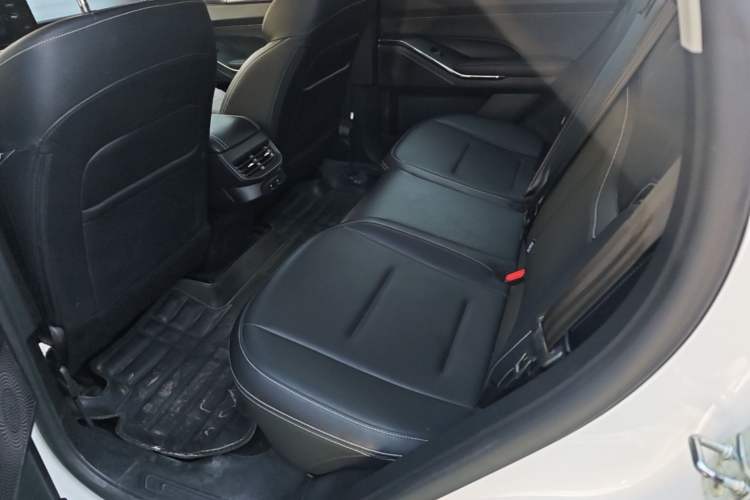 Used Haval H6 2022 3rd Generation 1.5T Automatic Two-Wheel Drive Supreme+ Left Rear Seat