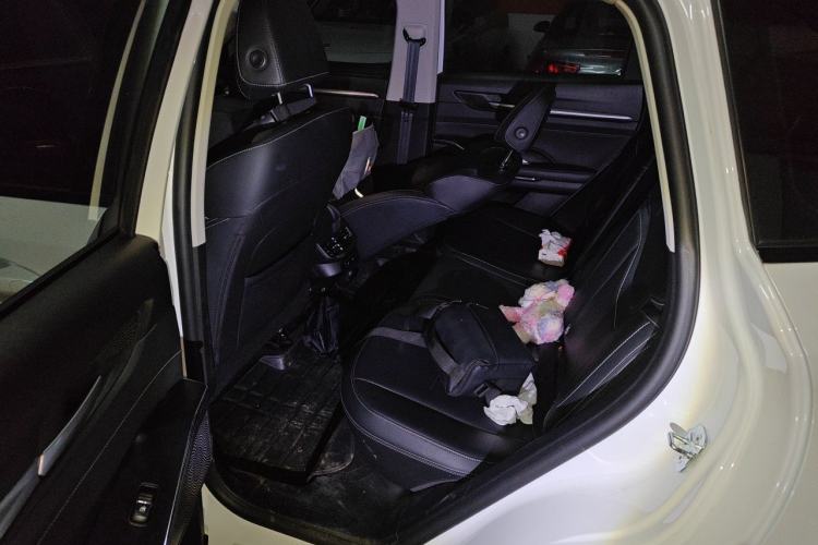 Used Haval H6 2022 3rd Generation 1.5T Automatic Two-Wheel Drive Supreme+ Left Rear Seat