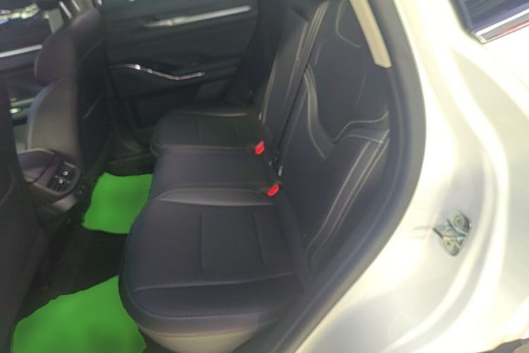 Used Haval H6 2022 3rd Generation 1.5T Automatic Two-Wheel Drive Pro Left Rear Seat