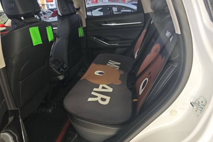 Used Haval H6 2022 3rd Generation 1.5T Automatic Two-Wheel Drive Max Left Rear Seat