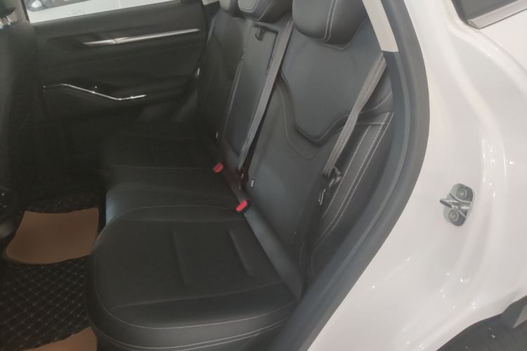 Used Haval H6 2022 3rd Generation 1.5T Automatic Two-Wheel Drive Pro Left Rear Seat