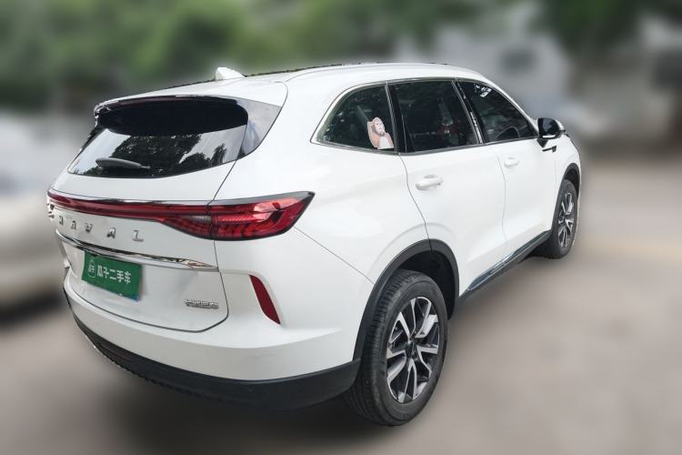 Used Haval H6 2022 3rd Generation 1.5T Automatic Two-Wheel Drive Pro Rear Right 45 Deg