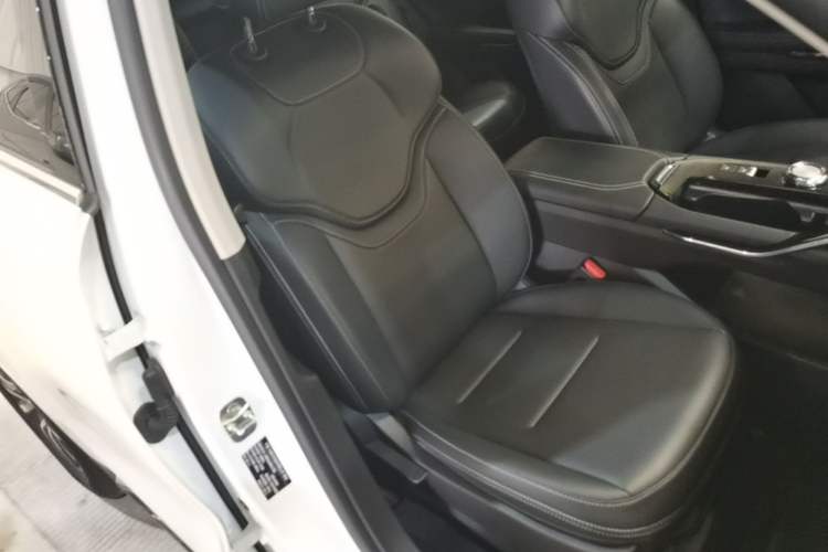 Used Haval H6 2022 3rd Generation 1.5T Automatic Two-Wheel Drive Pro Right Front Seat
