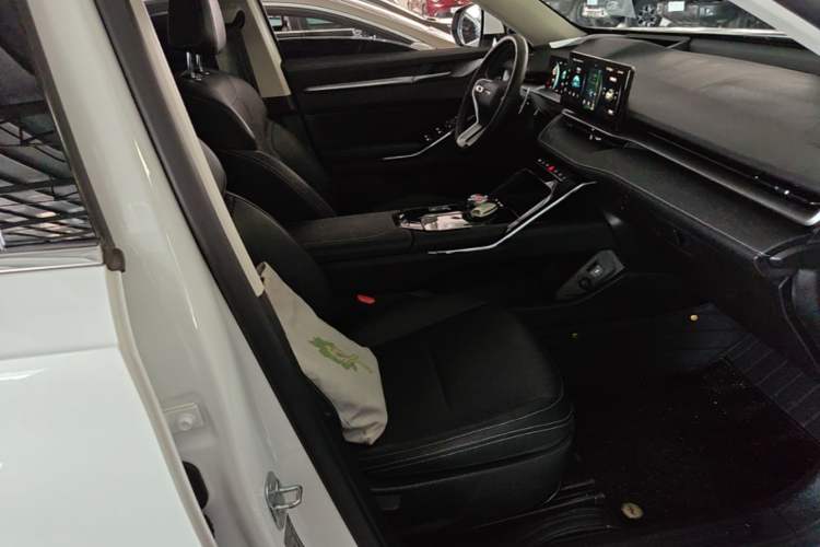 Used Haval H6 2022 3rd Generation 1.5T Automatic Two-Wheel Drive Max Right Front Seat