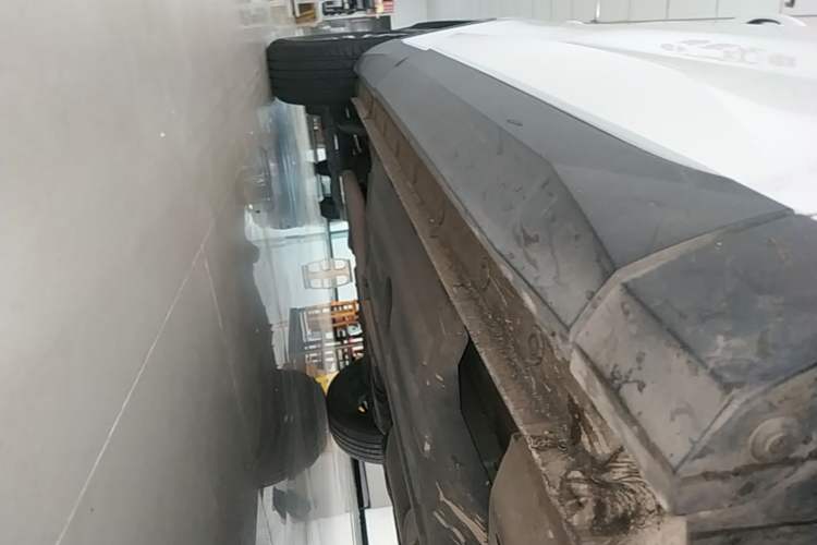 Used Haval H6 2022 3rd Generation 1.5T Automatic Two-Wheel Drive Max Right Side Sill