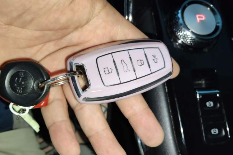 Used Haval H6 2022 3rd Generation 1.5T Automatic Two-Wheel Drive Pro Vehicle Key