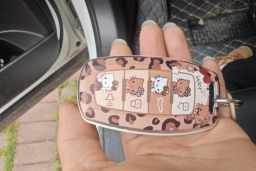Thumbnail 13