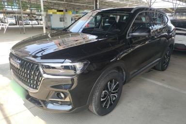 Used Haval H6 2023 National Trend Edition 1.5T Automatic Urban Version