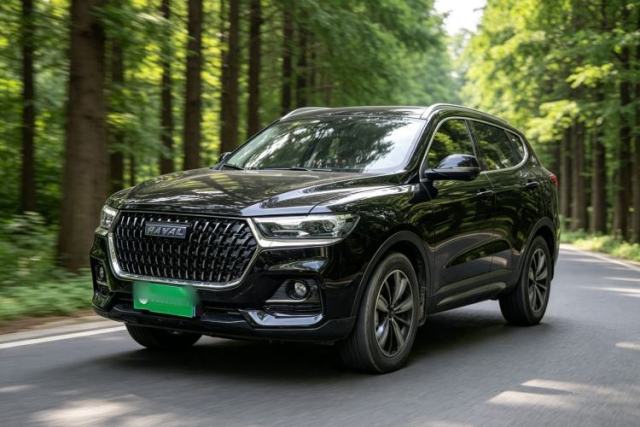 Used Haval H6 2023 National Trend Edition 1.5T Automatic Champion Version