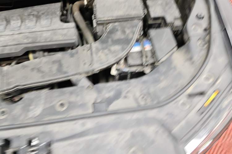 Used Haval H6 2023 National Trend Edition 1.5T Automatic Urban Version Engine Bay Left