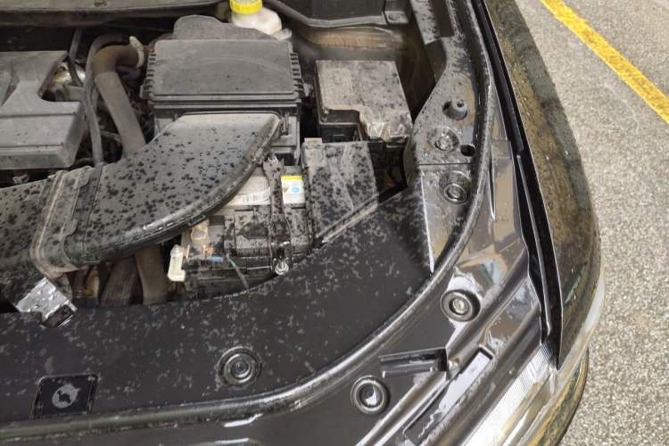 Used Haval H6 2023 National Trend Edition 1.5T Automatic Champion Version Engine Bay Left