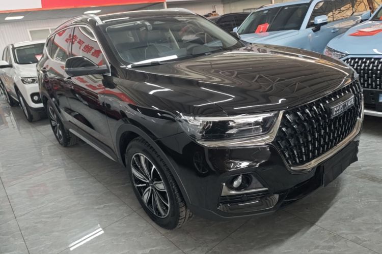 Used Haval H6 2023 National Trend Edition 1.5T Automatic Champion Version Exterior 1