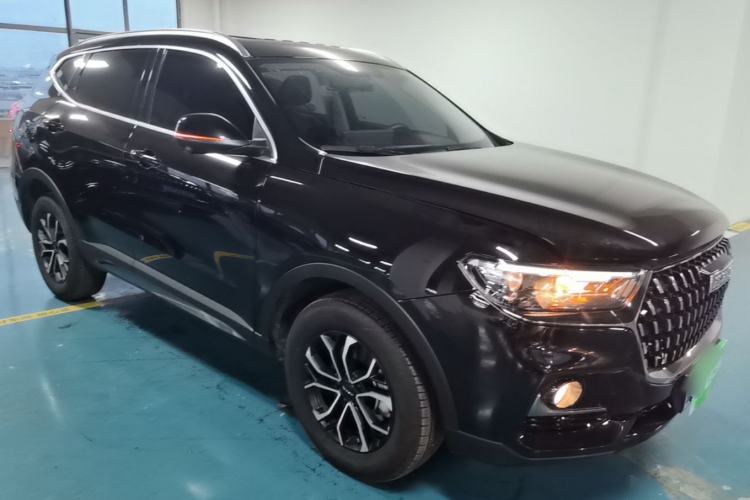 Used Haval H6 2023 National Trend Edition 1.5T Automatic Urban Version Exterior 1